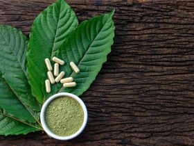 Is Kratom Legal in My State